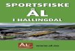 SPORTSFISKE ÅL - res.cloudinary.com · SESONG: 01.06 - 19.09. GENERELL FISKEINFORMASJON Denne faldaren omfattar alle fiskesonene i Ål. Dei sonene som
