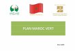 PLAN MAROC VERT - fao.org · Présence au niveau national de plusieurs modèles d’entreprises agricoles et agro ... Mise en œuvre du Plan Maroc Vert