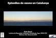 Episodios de ozono en Catalunya - AIRUSEairuse.eu/wp-content/uploads/2016/01/6c_XQuerol_-Ozono-_Valencia... · -Non stomatal depostion -In-canopy chemistry (NO) ... 2000 2001 2002