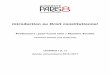 Professeurs : Jean-Louis Iten / Maxime Tourbe - UFR droit · Université Paris 8 Introduction au Droit constitutionnel (Semestre I) Séance de travaux dirigés n° 1 : Présentation