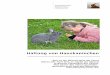 Haltung von Hauskaninchen - Kleintiere Schweiz · Haltung von Haustieren Seite | 3 1 Haltung von Haustieren Wie aus dem Zitat ersichtlich wird, bilden Menschen und Tiere eine Art