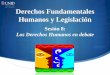 Derechos Fundamentales Humanos y Legislaciónmoodle2.unid.edu.mx/dts_cursos_mdl/pos/DR/FH/S08/FH08_Visual.pdf · Con alguna discapacidad ... fundamentales de las personas con 