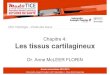 Chapitre 4: Les tissus cartilagineux - cyan1.grenet.frcyan1.grenet.fr/.../UE2-HBDD1-05-Chap-4-tissus-carti.pdf · Année universitaire 2014/2015 Université Joseph Fourier (UJF) Grenoble
