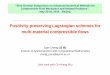 Positivity-preserving Lagrangian schemes for multi ...math0.bnu.edu.cn/~lijiequan/Sino-German/slides/Juan Cheng.pdf · Positivity-preserving Lagrangian schemes for multi-material