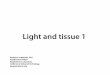 Light and Tissue 1 - its.caltech.edubi177/private/L6_handout.pdf · ≥ λ Mie Regime • Cells, water droplets (fog) ... • Scattering mean free path and transport mean free path