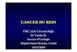 CANCER DU REIN - CHU Henri Mondor - Créteilurologie-chu-mondor.aphp.fr/_enseignement/FMC/cancer du rein.pdf · -lial growth factor antibody, for metastatic renal cancer. N Engl J