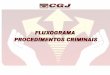 GESTÃO 2007/2009 Des. PAULO INÁCIO DIAS … · Procedimento dos Crimes Funcionais 5.4. Procedimento dos Crimes Contra A Propriedade Imaterial 5.5. Procedimento de Restauração