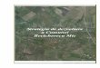 Strategia de dezvoltare a Comunei Becicherecu Mic · Componenta Analitică - Analiza mediului de dezvoltare a comunei: Analiza PEST(E); Analiza SWOT; Analiza pe domenii ... • 4