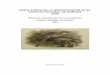 Informe de resultados 2008 - Doñana Biological …web.ebd.csic.es/Website1/Parque/Documentos/Resultados2008.pdf · Informe de la piezometría del acuífero Almonte Marismas, U.H.–05.51
