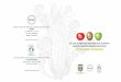 DE LOS ALIMENTOS DERIVADOS DE PLANTAS … · a b c Ministerio de la Protección Social República de Colombia Instituto Nacional de Vigilancia de Medicamentos y Alimentos INVIMA Cra