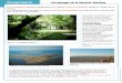 Géographie Les paysages de la Charente-Maritimeekladata.com/i3uwJD4M04JuThT0xVCsuWw6dRI.pdf · Les paysages de la Charente-Maritime que des champs de maïs et des vaches dans les