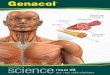 Fibres de collagène Fascicule Muscle Tendon Vaisseau ... · de collagène) de la peau ... Le collagène est la protéine qui compose le support de la ... d’une blessure ou d’une