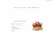 Foie , vésicule , voies biliaires - epsp-ahnif.e-monsite.comepsp-ahnif.e-monsite.com/medias/files/4-s1-foie-vb.pdf · d’une structure Héchogène qui absorbe en quasi-totalité