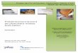 Prédimensionnement de planchers mixtes bois-bétoneprints2.insa-strasbourg.fr/499/1/rapport_final.pdf · béton, ils permettent de faire travailler le bois en traction et le béton
