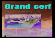 VdC 24 ??-?? Hongrie 14/07/10 14:51 Page 62 Grand cerf CERF VdC.pdf · vidéos sur le brame du cerf nous réservons auprès de Bertrand de Courcy et de son organi-sation, ... phée