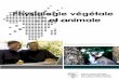 Physiologie végétale et animale - Thierry Karsenti · suivre le cours sur la physiologie végétale et animale, la maîtrise de l’organi- ... aborde la nutrition minérale et