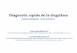 Diagnostic rapide de la shigellose - pathexo.fr · • SMIA - MP S. ETAPES • Caractérisation et choix des cibles antigéniques • Production et purification des antigènes 