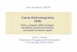 Campi Elettromagnetici (NIR) · Campi Elettromagnetici (NIR) Fisica, sorgenti, effetti biologici, normativa, strumenti di misura, procedure di misura, report Anno Accademico 2007/08