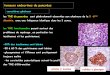 tumeurs endocrines du pancréas - ?as-DR.pdf · tumeurs endocrines du pancréas caractères généraux