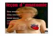 2010 09 Le on d'anatomie DOSSIER.doc) - … · Leçon d’anatomie ou les confessions d’une femme au-delà de la crise de nerf… femme en morceaux morceaux de femmes ... GUY DE