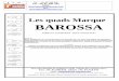 quads barossa standards - dpatrock.free.frdpatrock.free.fr/dossiers-import-export/produits-et-secteurs/... · Fiche technique : Cheetah 250 - Longueur1600mm - Largeur 1000mm - Hauteur