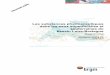 Les substances pharmaceutiques dans les eaux ...infoterre.brgm.fr/rapports/RP-55578-FR.pdf · Les substances pharmaceutiques dans les eaux superficielles et souterraines du bassin
