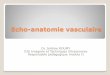 Dr. Jérôme ROUMY DIU Imagerie et Techniques …naxos.biomedicale.univ-paris5.fr/diue/.../echo...vasculaire2015-33.pdf · Echo-anatomie vasculaire Dr. Jérôme ROUMY DIU Imagerie