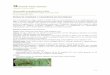 Informacije za pridelovalce vrtnin - Domov - Kmetijski ... · Kapusov belin (Pieris brassicae) Metulj: ... Balmelli A., Frank A., Sauer A., Vogler U. 2012. Kohlraupen Merkblatt. Wädenswill