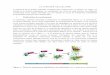 Duplication du centrosome - poly-prepas.com 8 Division cellulaire.pdf · Le cytoplasme se divise selon un processus appelé clivage ou segmentation, ... responsable du ciblage des
