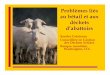 Problèmes liés au bétail et aux déchets d’abattoirssiteresources.worldbank.org/INTUSWM/Resources/... · 1 Problèmes liés au bétail et aux déchets d’abattoirs Sandra Cointreau