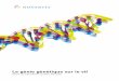Le génie génétique sur le vif - Novartis Schweiz · 3 Expérimenter le génie génétique Les chercheurs qui travaillent sur l’ADN ne sont généralement pas en mesure d’observer