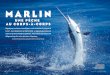 MARLIN - onemoresportfishing.comonemoresportfishing.com/wp-content/uploads/2017/04/Marlin.pdf · La traque de ce combattant hors normes est comparée à celle de la chasse au lion