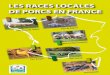 LES RACES LOCALES DE PORCS EN FRANCE - … · Normande et Flamande. Il est actuellement élevé dans le Nord-Ouest de la France (Bretagne-Pays de la ... commercialisé en vente directe