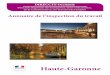 Haute-Garonne - occitanie.direccte.gouv.froccitanie.direccte.gouv.fr/.../pdf/annuairehautegaronneuc2fevrier.pdf · IRIS 4503 Sainte-Claire IRIS 4601 Mal Clabel IRIS 4602 Bois de Limayrac