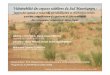 Vulnérabilité des espaces sahéliens du Sud Mauritanien · Diagramme ombrothermique station de Kiffa 1970-2004 0,00 20,00 40,00 60,00 80,00 ... Construction d’une base de données