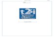 Année 2012 - DoYouBuzz€¦ · koput eric tssi année 2012 . page 2 sur 15 sommaire dossier de synthese de pratique professionnelle (dspp) 