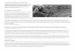 L’histoire du M16 de l’US Army - tir sportif baixastir-sportif-baixas.e-monsite.com/medias/files/m16-et-m4.pdf · exigences réelles du combat. La nouvelle munition développée