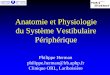 Anatomie et Physiologie du Système Vestibulaire …l3bichat2013-2014.weebly.com/uploads/1/3/9/0/13905422/physiologie... · Anatomie et Physiologie du Système Vestibulaire Périphérique
