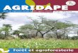 Forêt et agroforesterie - IED afrique · 8 14 16 18 20 22 24 25 26 28 ... Il plaide en faveur du développement de systèmes d’agro- ... tionner la gestion des forêts dans les