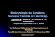 Embryologie du Système Nerveux Central et Handicap · Troubles embryologiques du système nerveux central (SNC) d’origine génétique ou environnementale. z. ... Spina bifida aperta: