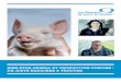 BIEN-ÊTRE ANIMAL ET PRODUCTION PORCINE : … · Organisation mondiale de la santé animale ... > Des services d’expertise technique pour la mise en place de ... de dollars pour