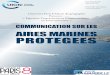 AIRES MARINES PROTEGEES · RAPPORT DE STAGE version provisoire. ... their territorial waters. France, who has the 2nd maritime space in the world, took a commitment with