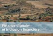 Finance digitale et inclusion financière - finances.gov.tn · Qu’est ce que la finance digitale ? ... Bancaire La Société Monétique de Tunisie IMF Avril 2015: 400 000 utilisateurs
