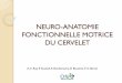 NEURO-ANATOMIE FONCTIONNELLE MOTRICE DU …pe.sfrnet.org/Data/ModuleConsultationPoster/pdf/2013/1/6de2ba54-53... · NEURO-ANATOMIE FONCTIONNELLE MOTRICE DU CERVELET A-C Rey, E Youssof,
