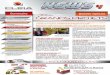 Dossier Spécial GRANDS PROJETS - Solutions d'ingénierie clé en …tc.cleia.fr/images/stories/documentation/CLEIA_News_N4_FR.pdf · La construction de la plus grosse briqueterie