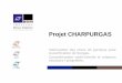 Projet CHARPURGAS - IMT | 1er groupe d'écoles … · 2016-04-11 · métaux Char de Pyrolyse Verrous • Valorisation des chars • Procédé d’épuration du Syngas CO / H 2. Institut