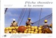 Pêche thonière Francis Marsac Bernard Stequert à la …horizon.documentation.ird.fr/exl-doc/pleins_textes/divers10-10/... · COFREPECHE (Consortium français pour le développement