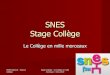 SNES Stage Collège - SNES - Syndicat National des ...· Stage Collège - Le Collège en ... l’année