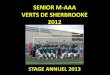 Sénior M-AAA Verts de Sherbrooke 2012 - Soccer Estriesoccer-estrie.qc.ca/download/stage-annuel-des-entraineurs/2013... · stage annuel 2013 . ... entraineur u8f, magog • etÉ 2006
