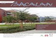 Journal de quartier - Amicale Laïque de Bacalan - …amicalebacalan.com/pdf/bacalan_58.pdf · comme ça qu’est né le livre Bacalan Story, ... Un lieu d’accueil libre, anonyme